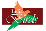 India Birds Logo